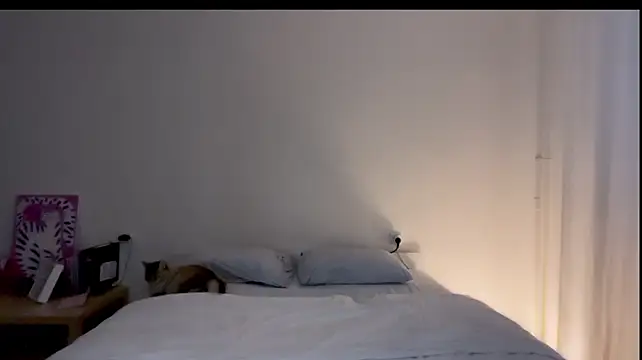 Milky___Way webcam
