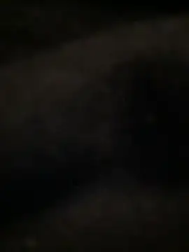 Boysex227 webcam