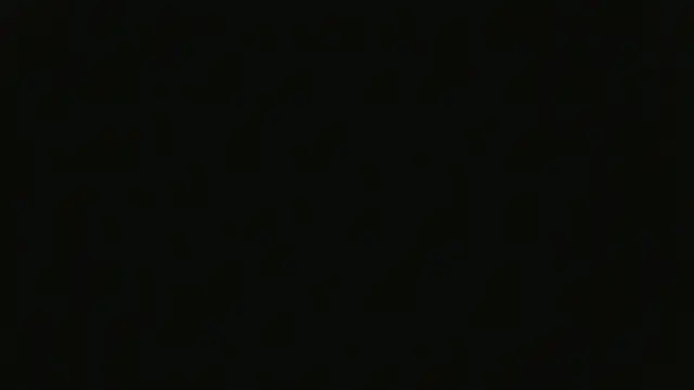 Zaralu_ webcam
