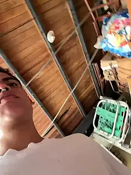 PrincesLeo webcam
