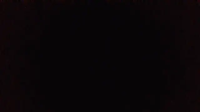 panda_06200 webcam