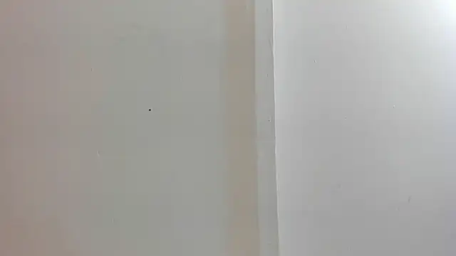 sofi_linares1 webcam