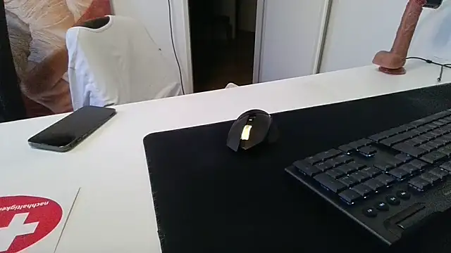 alpha-hunk webcam