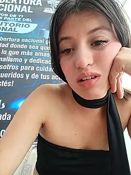 SALOME-28_ webcam