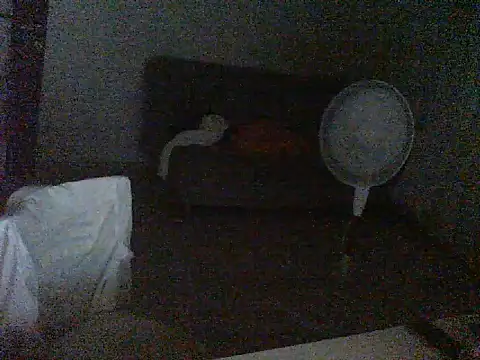 thekeys webcam