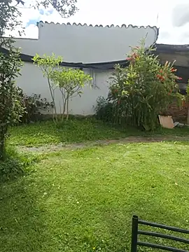 angeles_azul webcam