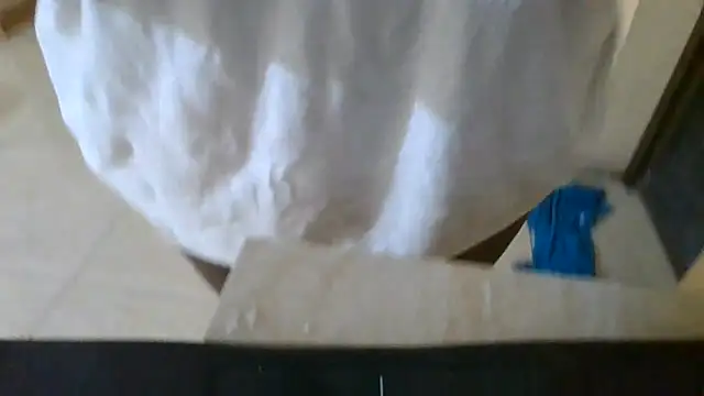 Cozybear webcam
