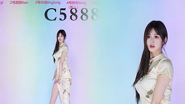 C5888 webcam
