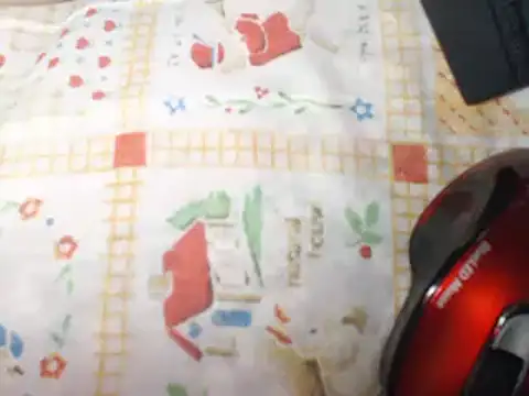 IMAGatMARK webcam