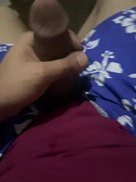 Ydgh356 webcam