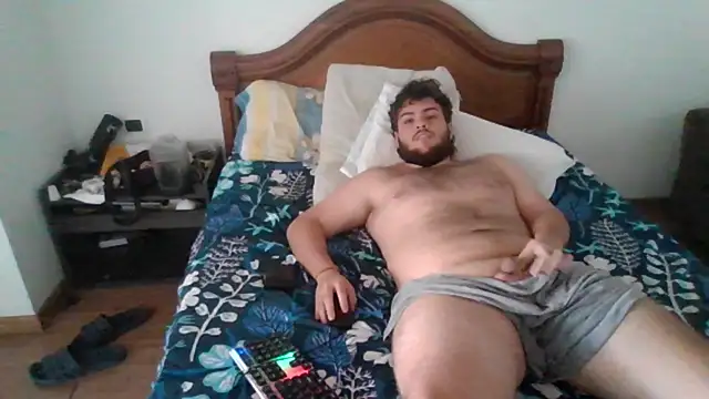 lipzard webcam