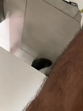 Leon__Hart_ webcam