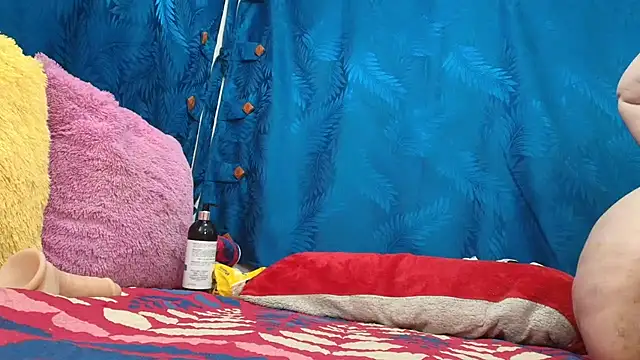 dominant_hipss webcam