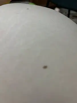 JuicyGamess webcam