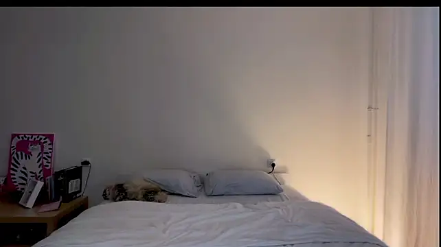 Milky___Way webcam