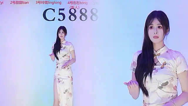 C5888 webcam