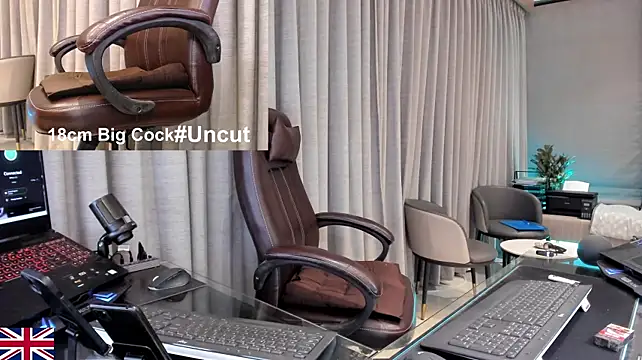 OnlineBossUK webcam