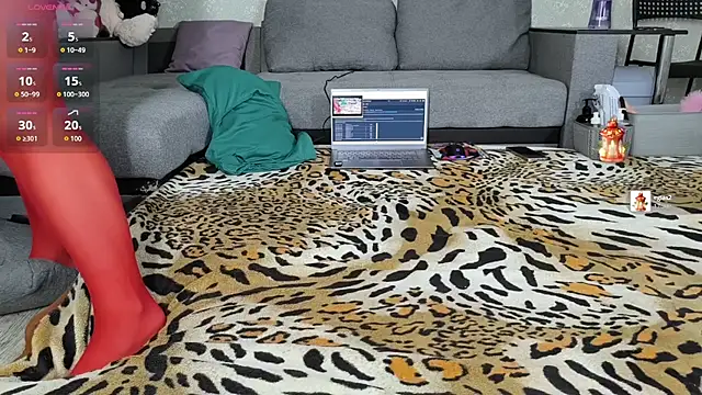 Aurora_Cage webcam