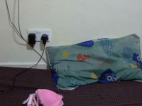 Rubbiey webcam