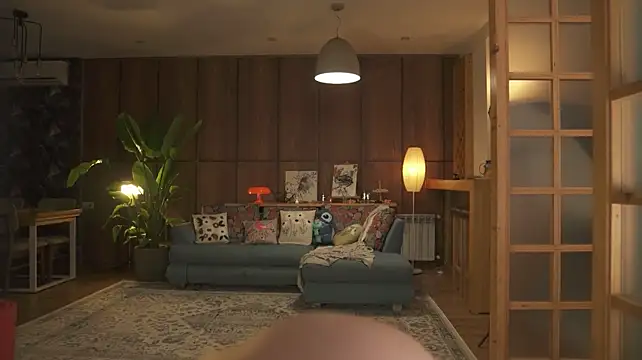 Sofa_01 webcam