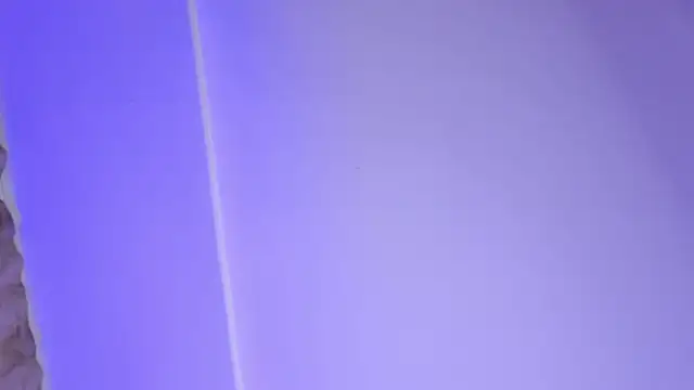 Yan_Cat webcam