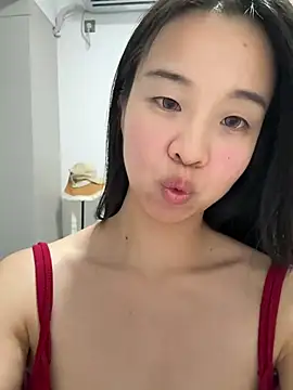 NiNa5203 webcam