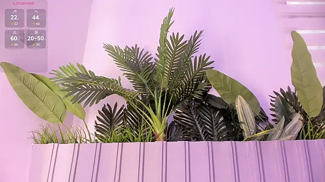 stephanymonroe webcam