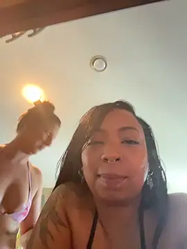 honeycombhalo webcam