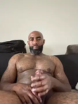 QHefner52 webcam