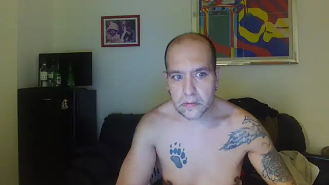 AMIRDIB2025 webcam