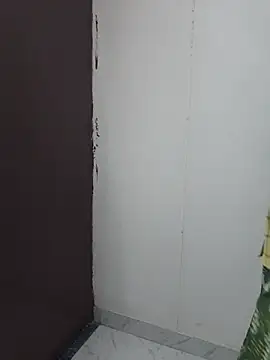 Ritika_jha01 webcam