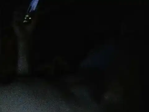cumloverboyxx69 webcam