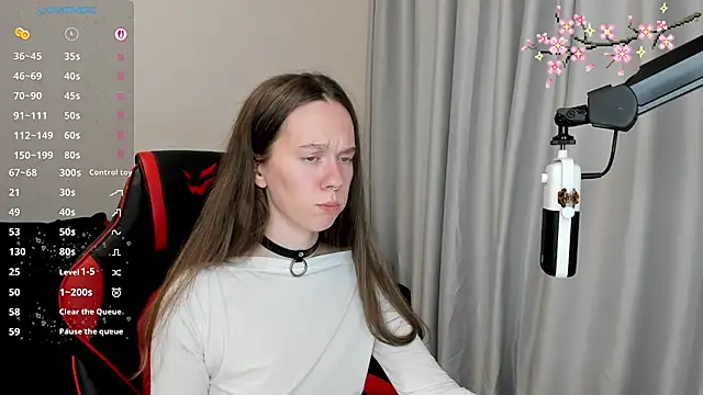 Vulgar_Tamer