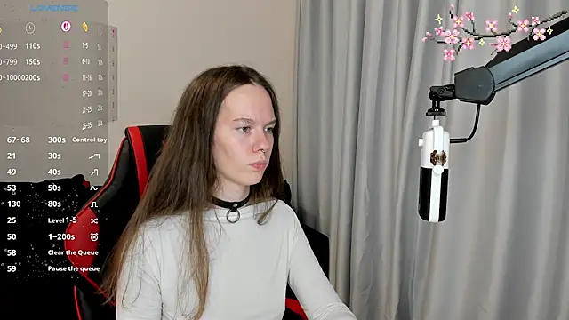 Vulgar_Tamer