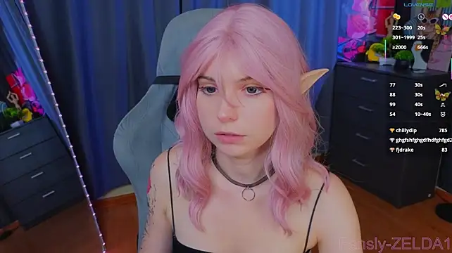 zelda_1 webcam