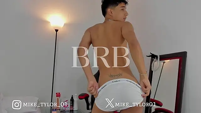 mike_tylor01 webcam