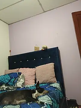 EllisW8 webcam