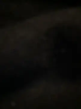Boysex227 webcam