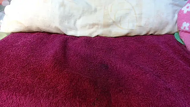 Thin-Thong_ webcam
