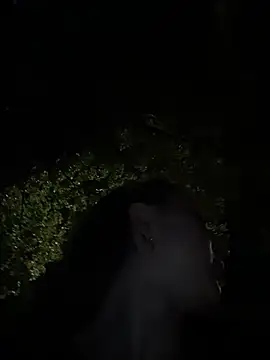outdoor-houndour webcam