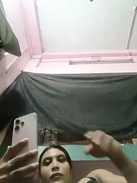 Twinkleroy webcam