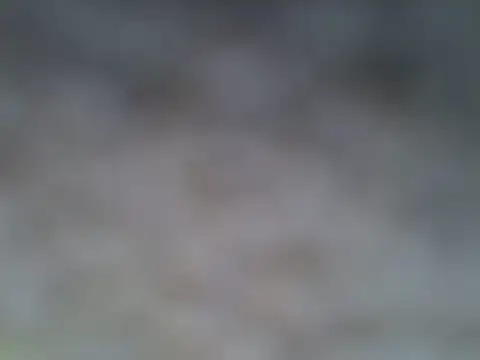 Horsy_dick webcam
