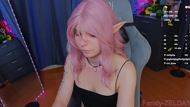 zelda_1 webcam