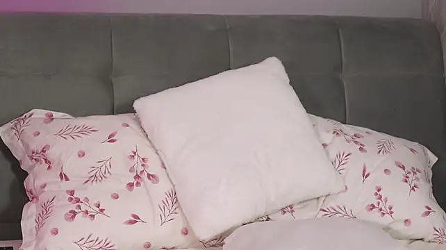 AylaWhisper webcam