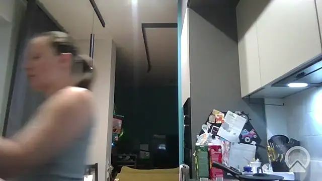 Velinabo webcam