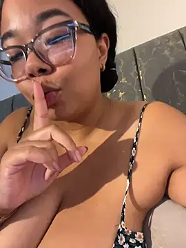 XMara webcam