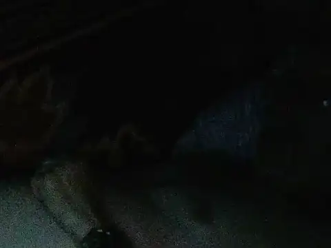 cumloverboyxx69 webcam