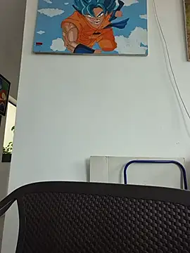 IrisBound webcam