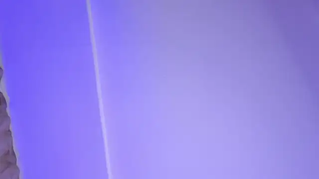 Yan_Cat webcam
