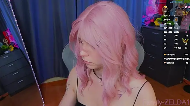 zelda_1 webcam